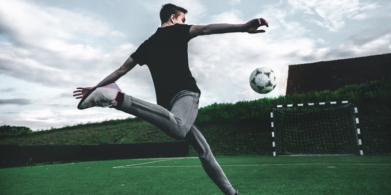 世界杯比赛赛场全景照片