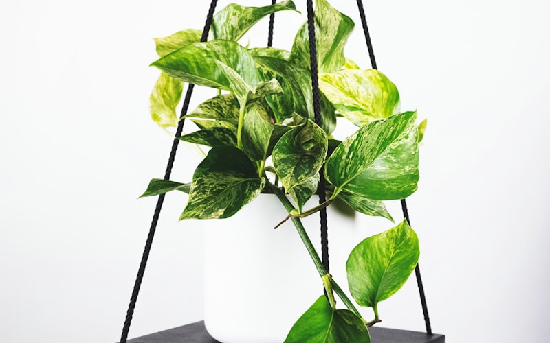 世界杯直播演播室高清大屏幕画面